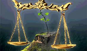 دورة البيئة القانونية للأعمال الدولية